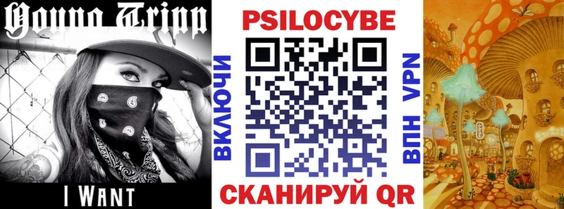 даркнет формула  Касимов  Псилоцибиновые грибы мицелий  закладки 