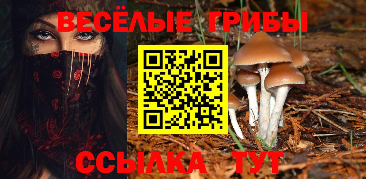 Псилоцибиновые грибы Magic Shrooms  купить  сайты  Касимов 