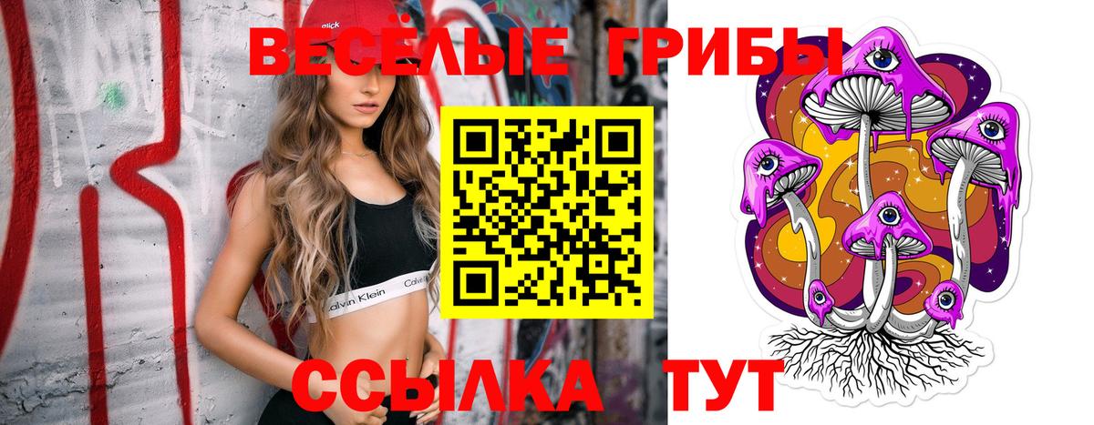 Галлюциногенные грибы мицелий  Вход с VPN  Касимов  Псилоцибиновые грибы Cubensis 